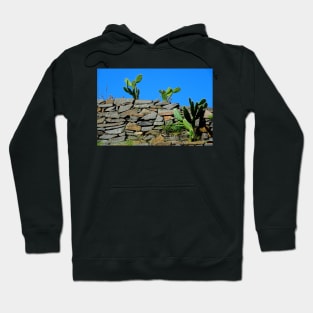 Site archéologique de Patzcuaro Hoodie